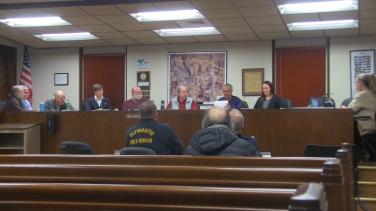 Read more about the article Plymouth City Council